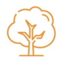 cropped-icon-tree.webp